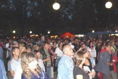 vendegek