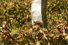 oktober_22.Emlekszuret5